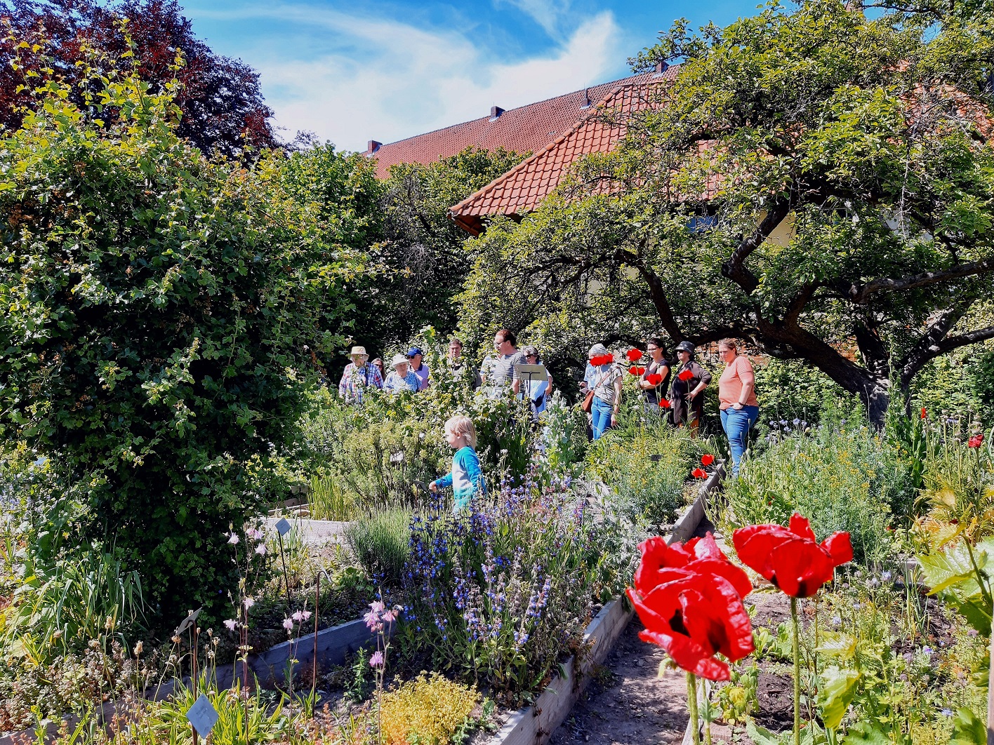 Am 3. Juni fand eine Kräuterführung mit der Heilpflanzenexpertin Viktoria Hingsamer durch die Kräutergärten statt.